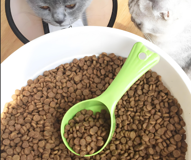 寵物食品檢驗測試服務：全方位守護寵物飲食安全！